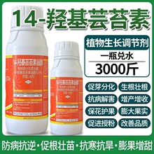 14u̦ܿ؃֬޴a~ʃƷֲL{