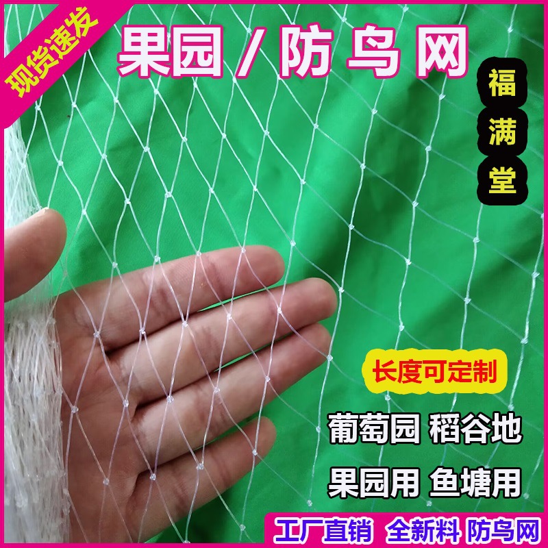 华贸果树防鸟用嘉宝果树农用防鸟防鸟罩子天网丝网网防鸟网的阳台