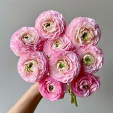 ٴݻɫĵһMσɆλS朰]