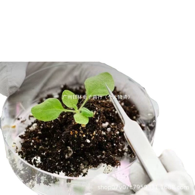 Бесплатная доставка питательная почва универсальная посадка цветов и овощей Органическая почва Бытовая зеленая редька цветочный горшок для суккулентов посадка почвы большая сумка