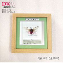 ��ƏS��ֱ�N ���x�˱�չʾ�̌W �����s��߻��׼������ţ