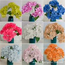 5�潑��135Ƭ���滨���򻨻�c�Y�û�·���廨5�^�ѻ��ٻ�������