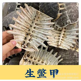 �M�� ���M����ș�ļװ�F؛���l���Ă�ș�I�����M�ס���؛