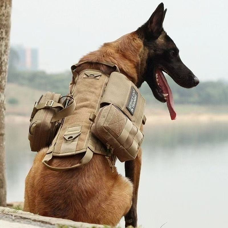 Cross-Border Tactical Training Dog Clothing for Medium and Large Dogs, Outdoor Camouflage Nylon Vest Harness Set