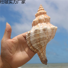 ������ؐ�����ݚ��~���b�Ʒˮ�����쾰��߅���к��L��[��
