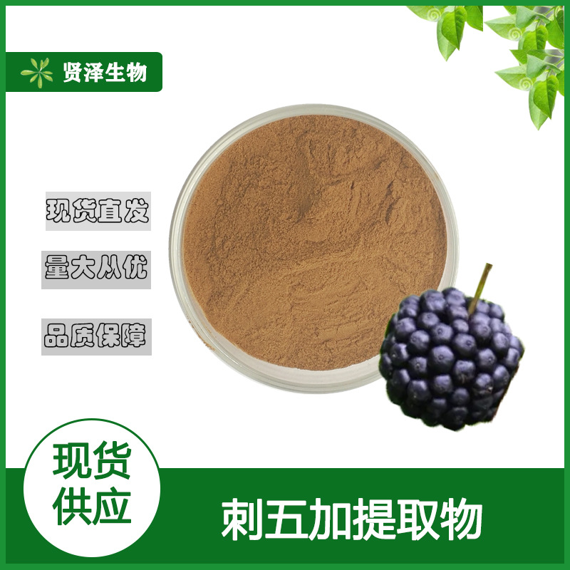 刺五加提取物10:1  刺五加甙  刺五加原料粉  贤泽生物 现货供应