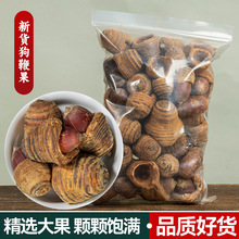狗鞭果中药材正品狗鞭果毛毛果风流虎带帽狗鞭果戴帽