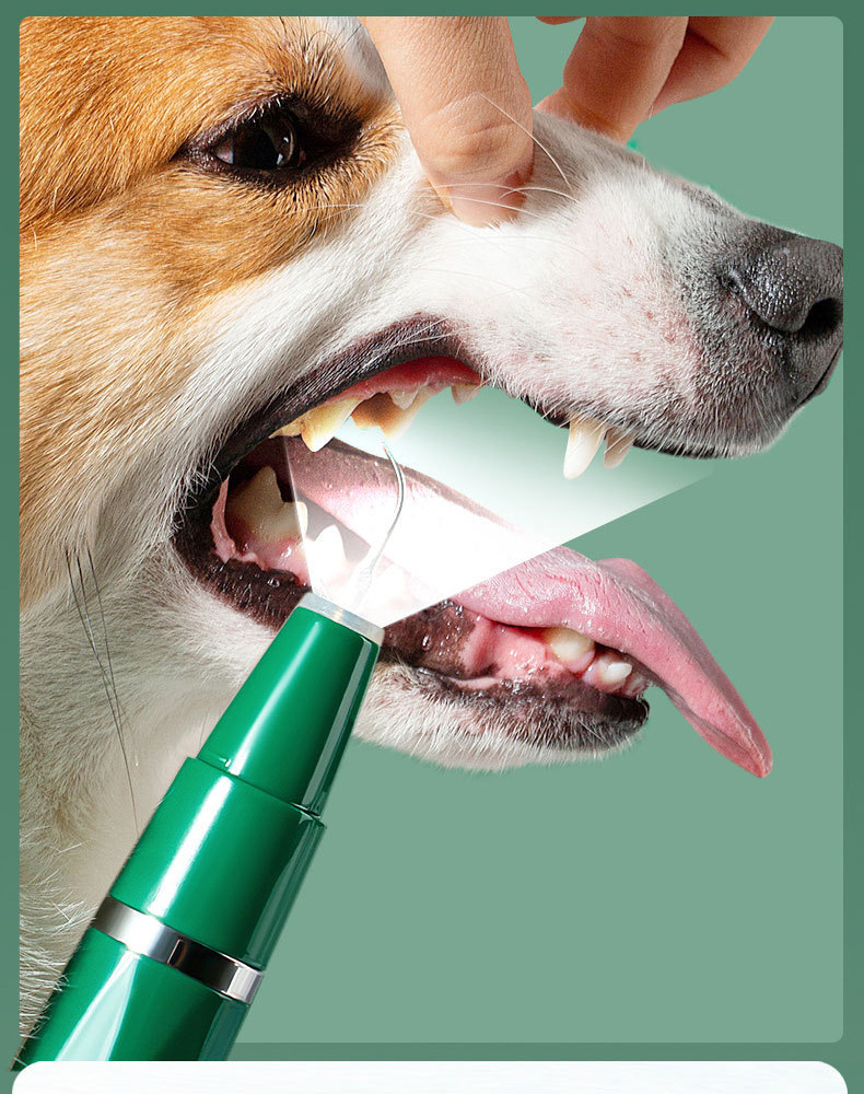 Ultraschall-Zahnreiniger für Hunde und Katzen