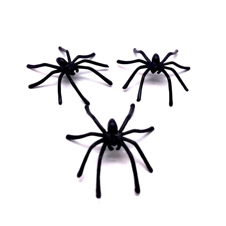 IMG_7182(20210714-073017)