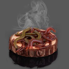 跨境外贸仿真海蚯蚓路亚饵浮水沙蚕加腥味仿生假饵青虫海蜈蚣软饵