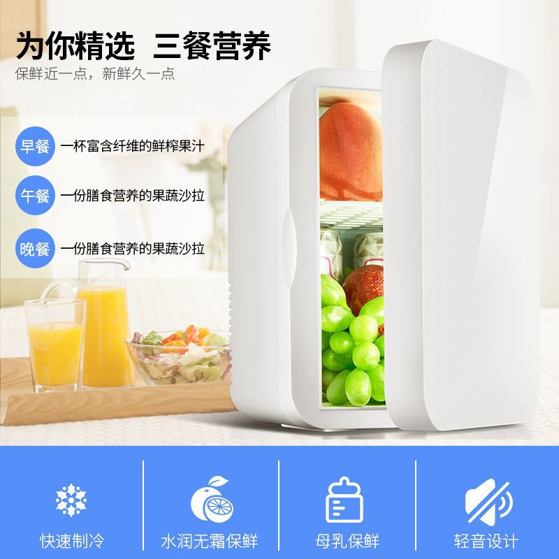 迷你小冰箱家用寝室学生宿舍车家两用小型化妆品冷藏制冷车载冰箱|undefined