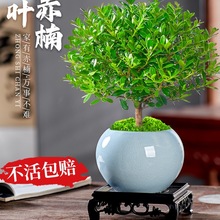 С~辰Ϙֲk҃ȾGֲ̨B̴滨ܔ[