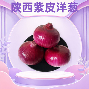 �����Ƥ���[ ���l���l3/5/9�������A�[�tƤ�[�^��ˬ�r�����r�߲�