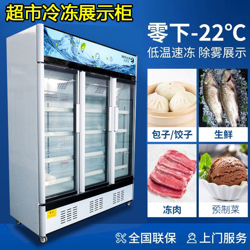 冰柜立式冷冻冷冻食材牛肉排预制菜无霜冷柜速冻风冷冻榴莲展示柜