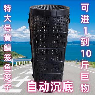 �����l���¿���~�\���r�\�~�W�з�\�S�X�\�O�W�~���~�W���q�\