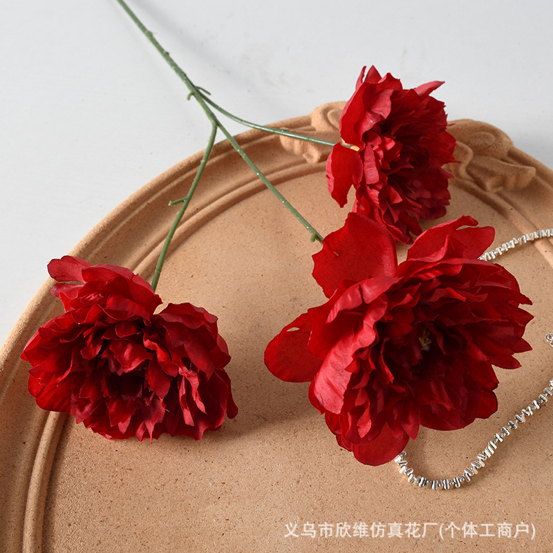 3 heads peony red
