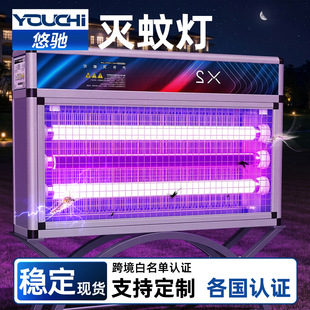 ���ß����͑�������2026�¿�����ͥԺ���x�����������ԄӜ�ω��