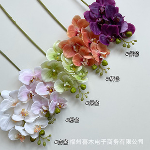 �����֦�����m ��Ʒ�|�ָб�������m ���յ��� ��ˇ�OӋ