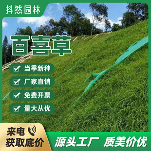 �S�����l���~ȸ�ތ��~�ݷN�Ӱ�ϲ�ݲ����o�¹����͟��ͺ��G������