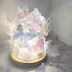 Butterfly Nightlight diy Material Bag Creative Bedroom Atmosphere Light Tanabata to Send Girlfriend Classmate Birthday Gift