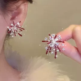 项链;耳钉;耳环