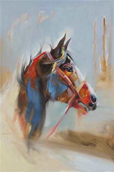 50322 Caballo de lujo ligero05