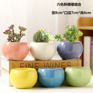 ���⻨���մɴ�̖�Gֲ��������С���⻨�����l��ڏ�����S��ֱ�l