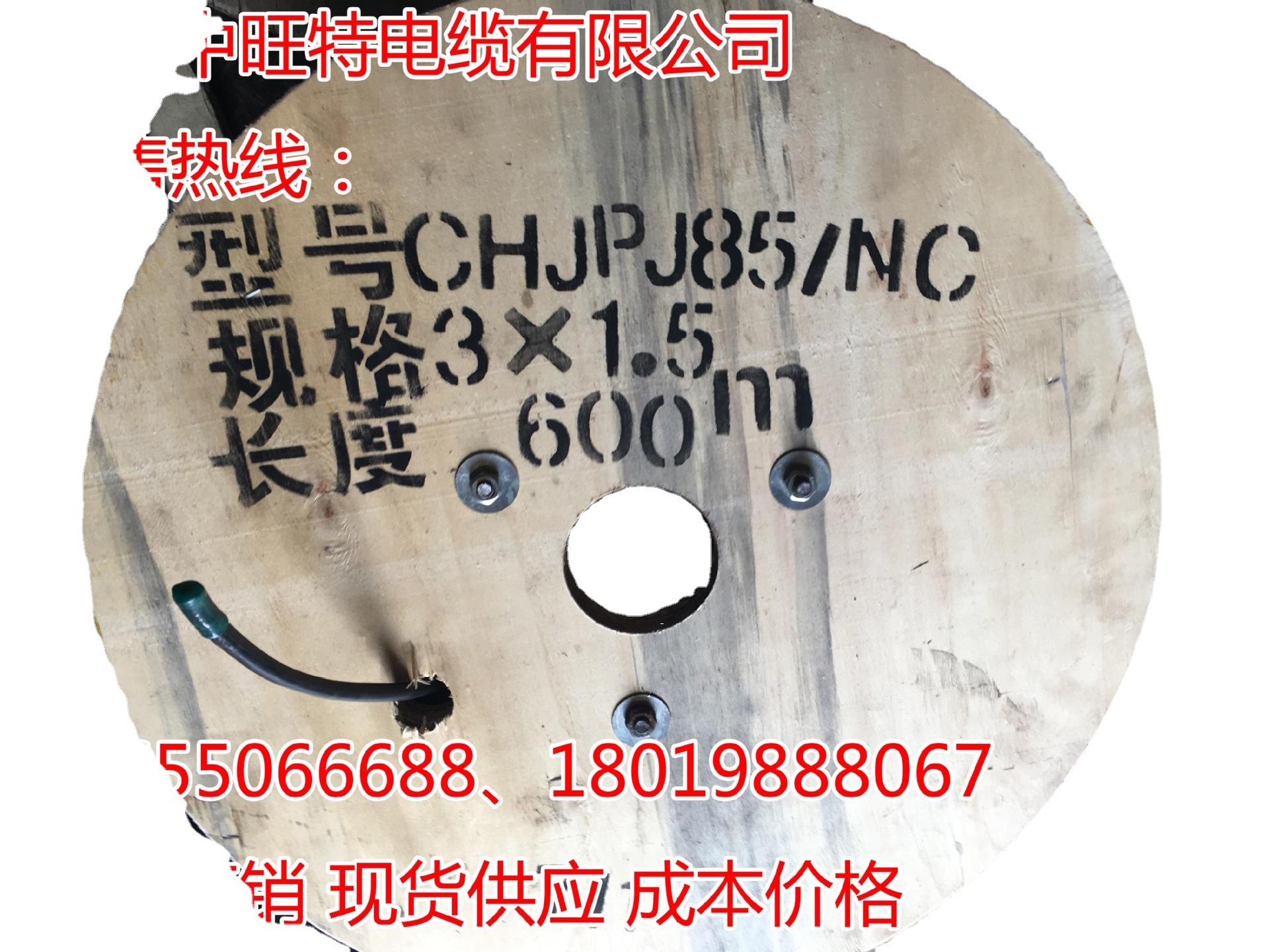 CJPJ85/SC CJPJ80/SC CJPJ90/SC  CJPJ95/SC 船用电缆 厂家直销