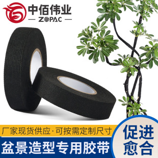 ��ɫ�q�������z�����������辰ֲ������ͺ���ĥ�p�@��ճ��֦�z��