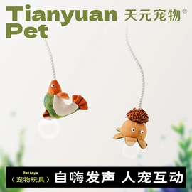 猫爬架;猫猫窝/笼/垫;狗狗玩具