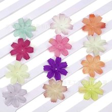 ���潁��2.5cm��Ƭ���Ʒ���滨���¿����컨�Ҿ�Ьñ�b����