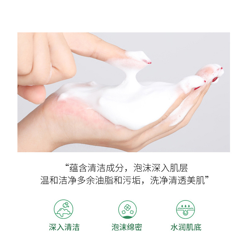 Renhe Ingenious Plant Complex Purifying Cleanser Amino Acid Deep Cleansing Oil Control Facial Cleanser For Men and Women