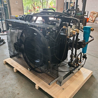 Lzw3.0/40-10D Screw Booster Compressor Hava kompressorları - customized-prepaid