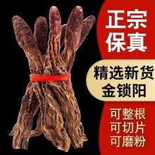 ɹŽiƬݾƲaiꖷ۴ɐ޽ݲɴl