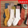 Women's Middle Tube [12 -color pile socks]