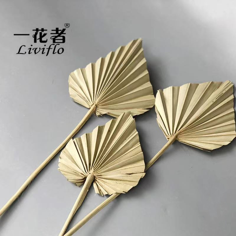 미니 기본 색상