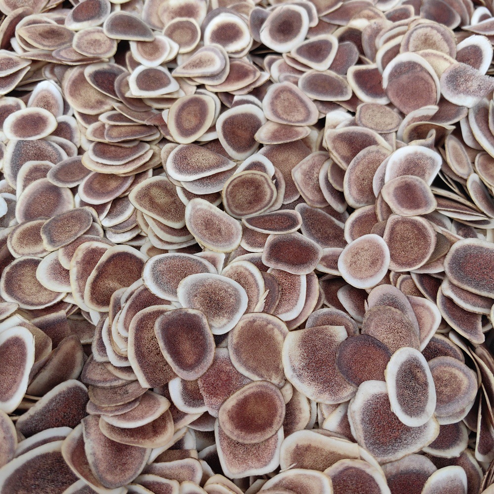 Deer Antler Slices Lu Rong Pian Dried TCM Herb Slices for Decoction and Infused Wine 500g preparation