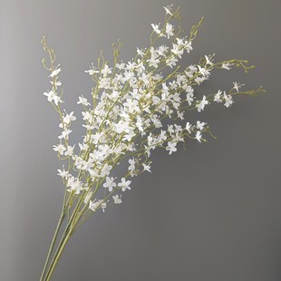 ҹҹǧ㱱W@ҾӘӰgcbzӰ