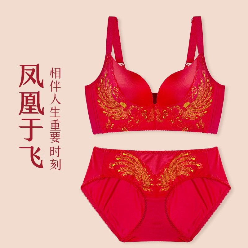 【세트】피닉스 유페이 슈트