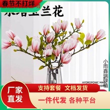 һlmrmr֦r֦ˮֲѩD÷