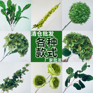 �Gɫϵ��c���滨�ŵ��Ž����ٻ���ɭϵ��Y�õ��·���b�ˇ