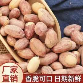 新货山东特产烤熟五香蒜香奶香多味花生颗粒饱满传统小零食250g袋