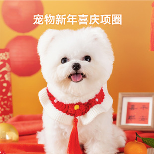 Spring Dragon New Year Red Collar Small Dog Cat Festival Fashion Accessories Autumn and Winter Pet Dog Cat Supplies