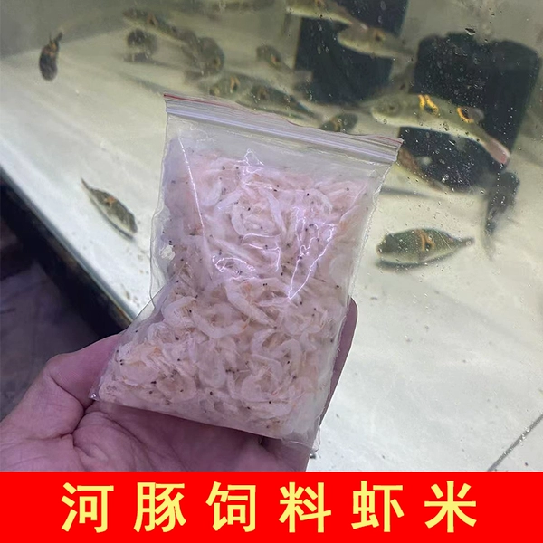 Puffer fish feed shrimp (2 packs)