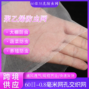 �羳���R�d60Ŀ�Ӻ�50Ŀ���x�W�߲˷N�˲ˈ@���Ҵ�����x���ϼ��W