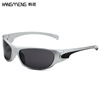 Brand sunglasses, glasses, 2 carat, punk style, internet celebrity, European style, wholesale