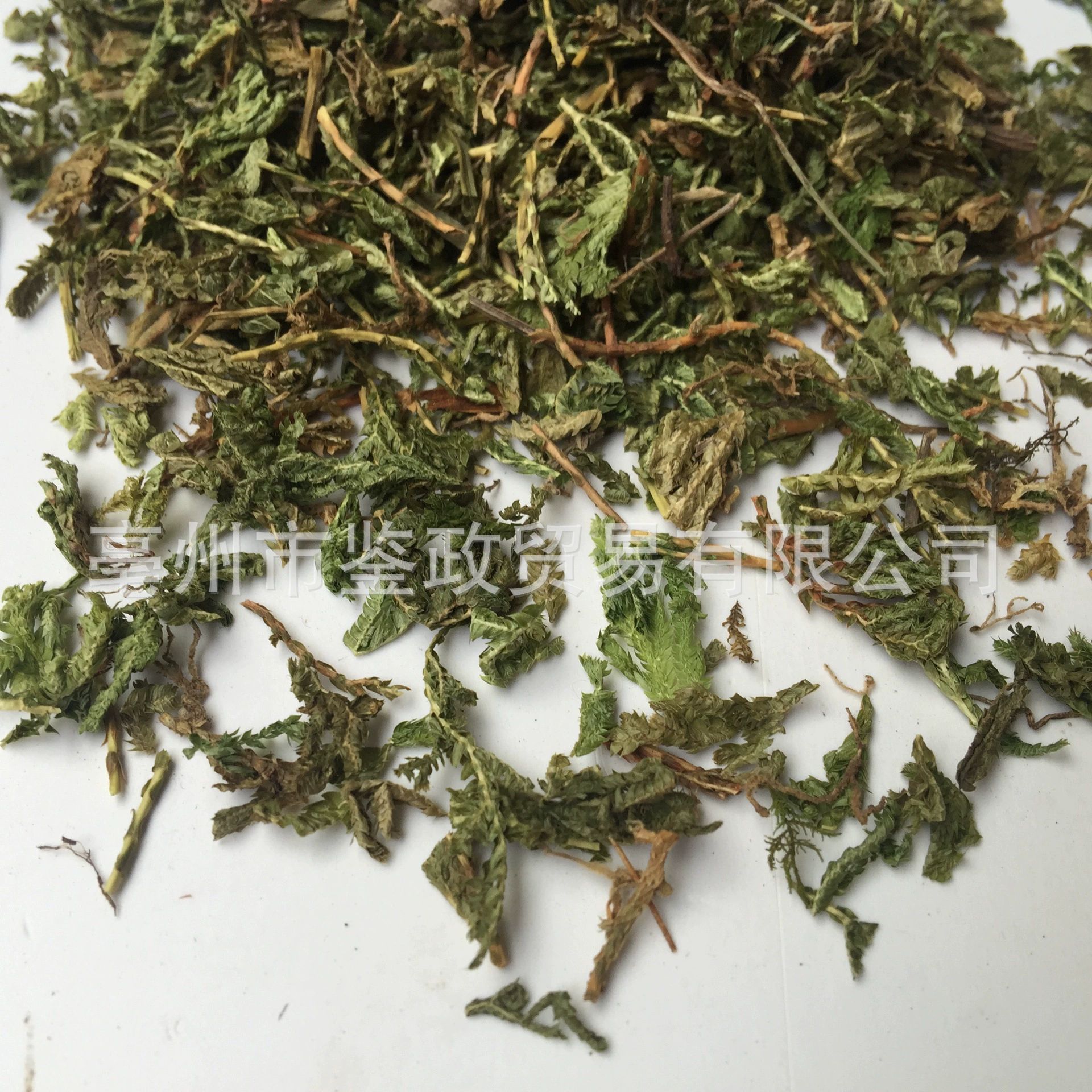Shi Shang Bai Dried Selaginella Whole Herb 500g Traditional Chinese Herbal Tea Ingredient key features