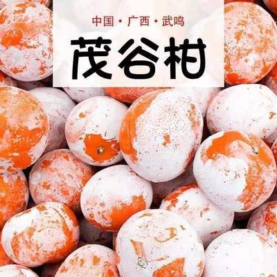 Yunnan Alpine murcott express Deliver goods Orange fresh Season fruit One piece On behalf of