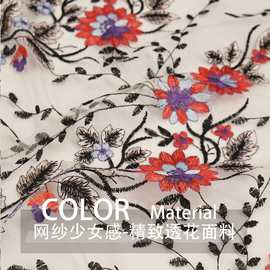 刺绣网纱少女感精致半透绣花网布 连衣裙半裙礼服高定布料