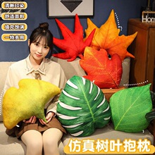 ins�Gֲ��ͨ���~����ë�q��߷��汧���~�ӗ��~�y��ֲ�����յ���